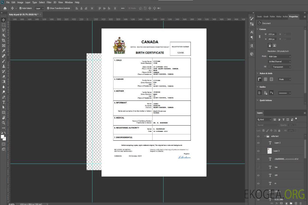 Modèle Word et PDF d'acte de naissance au Canada template